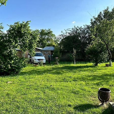 Villa In Qabala Eksteriør bilde